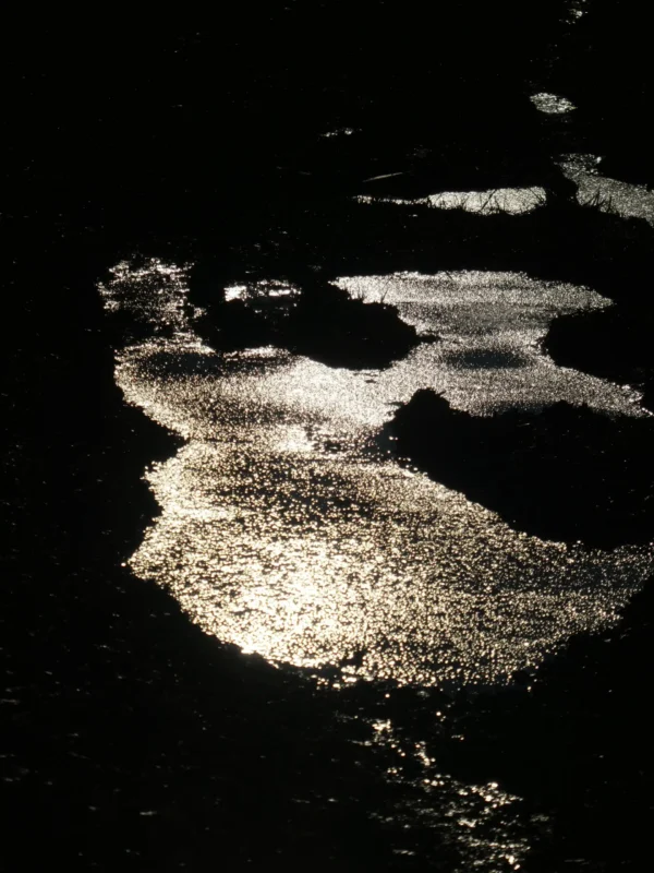 Tirage photo d’art – reflets du soleil scintillant sur des flaques en contre-jour