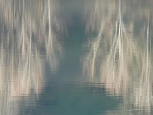 Tirage photo d’art – reflets de peupliers nus à la surface d’un lac en hiver