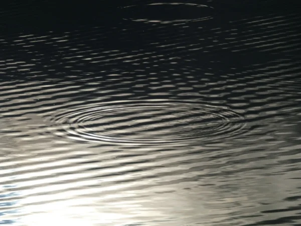Tirage photo d’art – ondes et rides à la surface de l’eau, rendu noir et blanc
