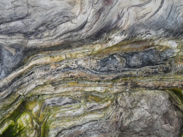 tirage photo d'art nature - racines usées