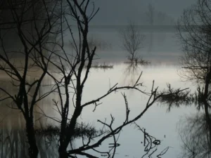 tirage photo - brume sur le lac