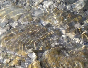 Carte postale – Jeux de lumière sur l’eau et les pierres