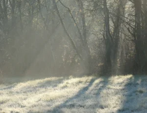Prairie givrée traversée par la lumière du matin en hiver