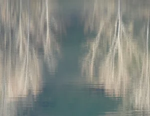 Carte postale abstraite de reflets verticaux sur l’eau calme en lumière hivernale