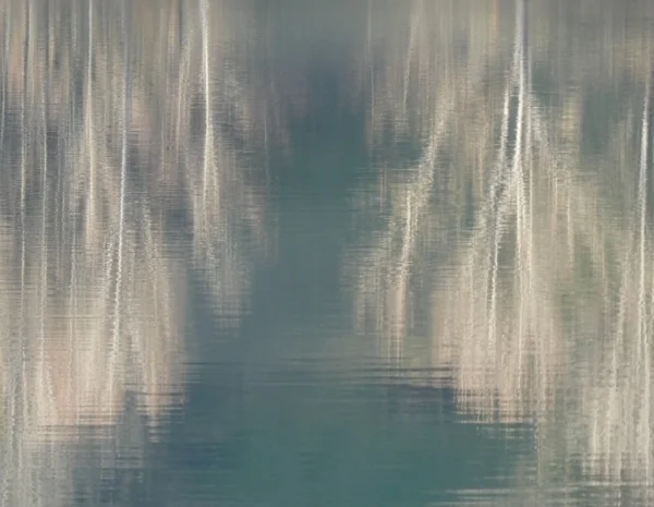 Carte postale abstraite de reflets verticaux sur l’eau calme en lumière hivernale