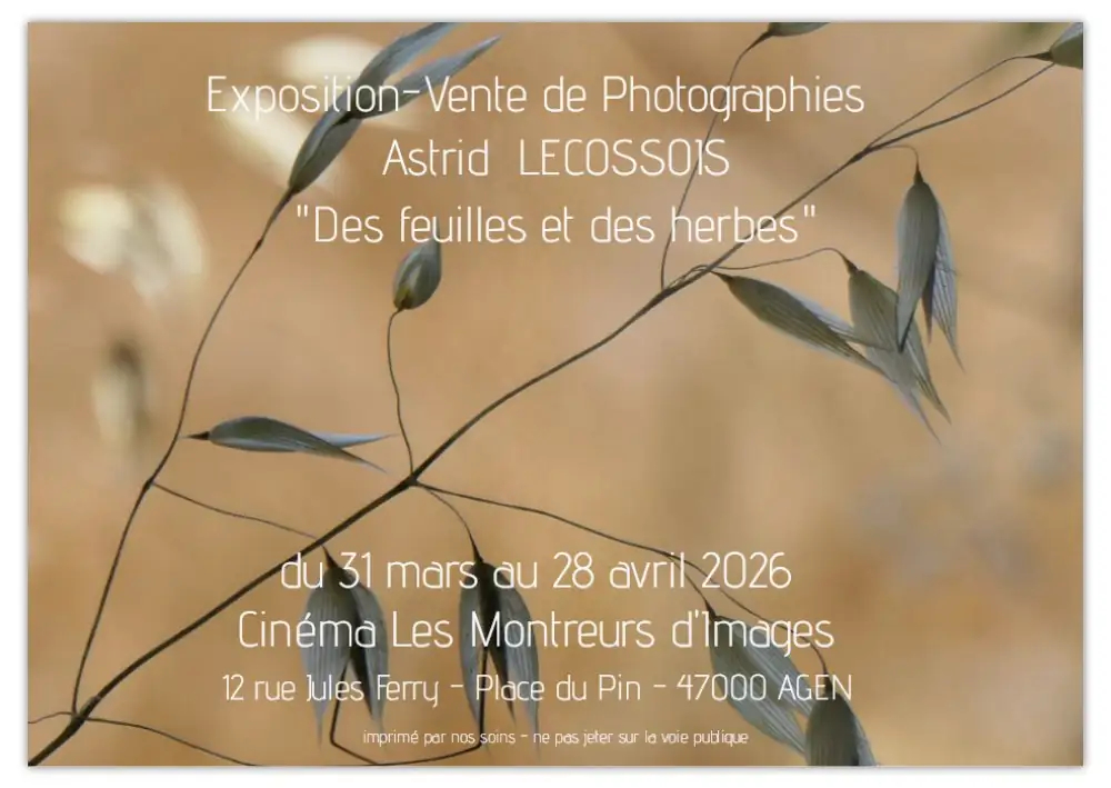 Exposition Astrid Lécossois Cinéma les montreurs d'images - Agen